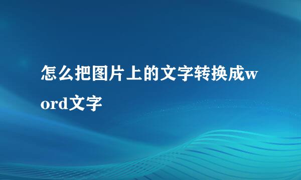 怎么把图片上的文字转换成word文字