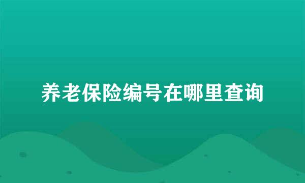 养老保险编号在哪里查询