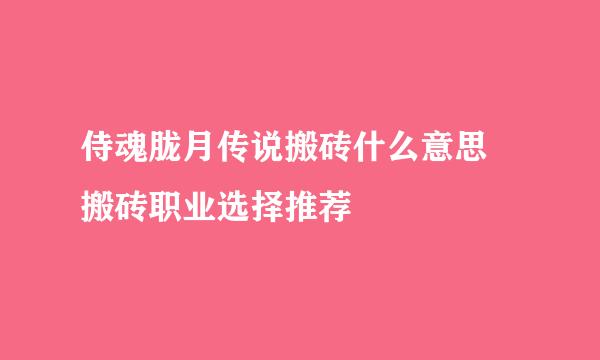 侍魂胧月传说搬砖什么意思 搬砖职业选择推荐