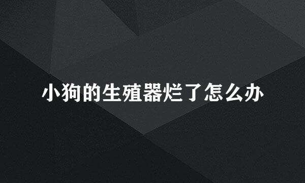 小狗的生殖器烂了怎么办