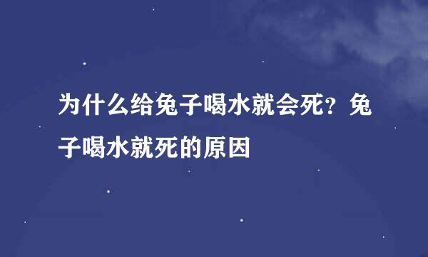 为什么给兔子喝水就会死？兔子喝水就死的原因