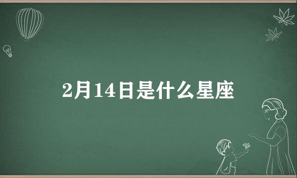 2月14日是什么星座