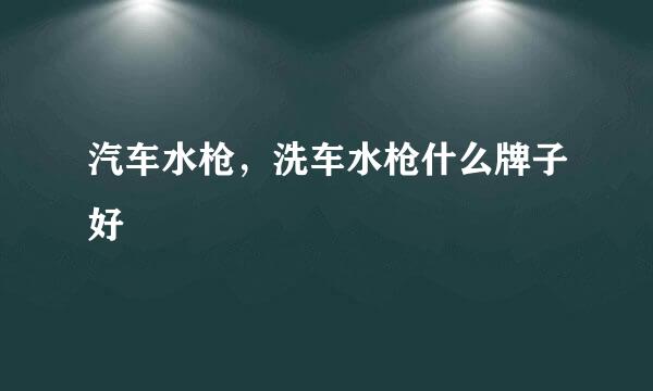 汽车水枪，洗车水枪什么牌子好