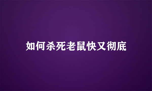 如何杀死老鼠快又彻底