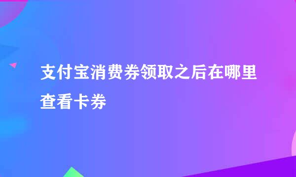 支付宝消费券领取之后在哪里查看卡券