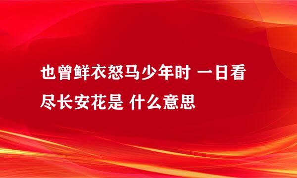 也曾鲜衣怒马少年时 一日看尽长安花是 什么意思