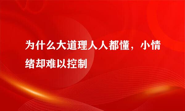 为什么大道理人人都懂，小情绪却难以控制