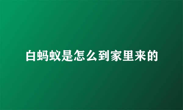 白蚂蚁是怎么到家里来的