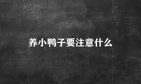 养小鸭子要注意什么