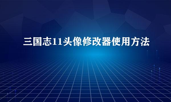 三国志11头像修改器使用方法