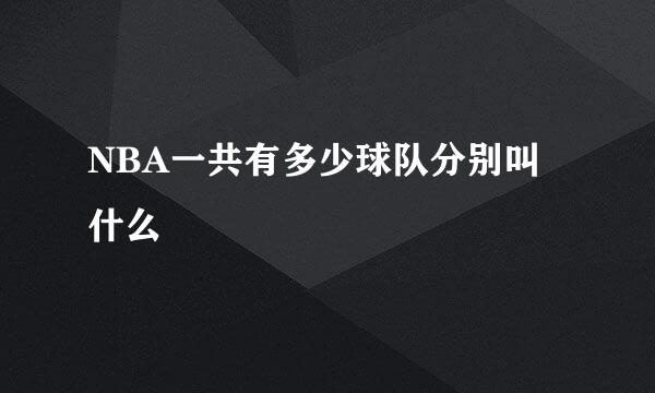 NBA一共有多少球队分别叫什么