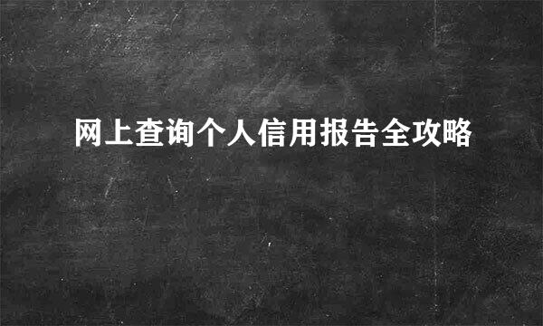 网上查询个人信用报告全攻略