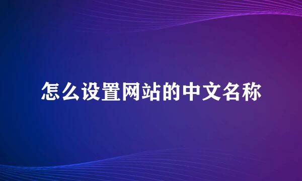 怎么设置网站的中文名称