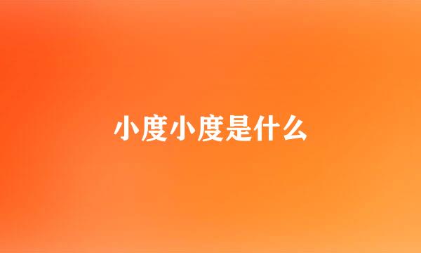 小度小度是什么