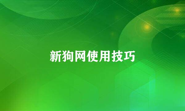 新狗网使用技巧