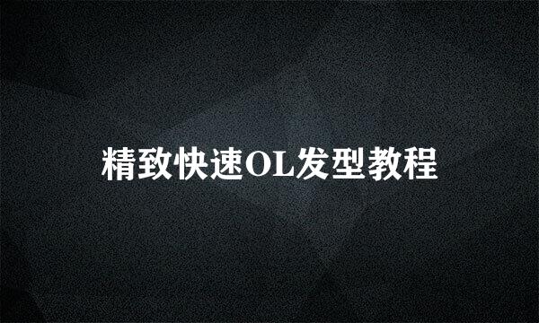 精致快速OL发型教程