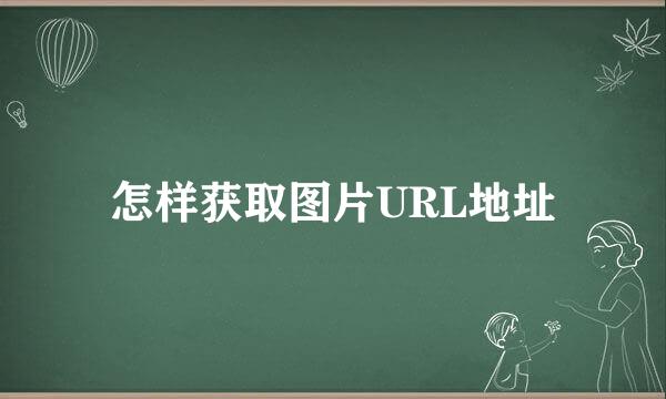 怎样获取图片URL地址