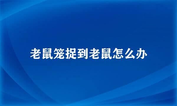 老鼠笼捉到老鼠怎么办