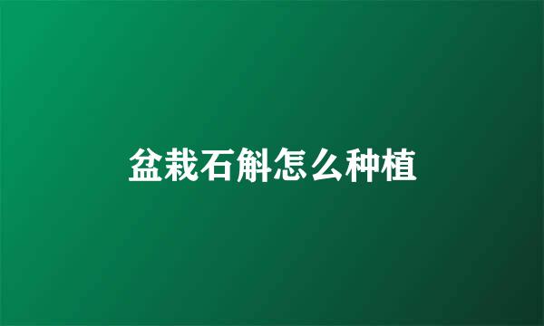 盆栽石斛怎么种植