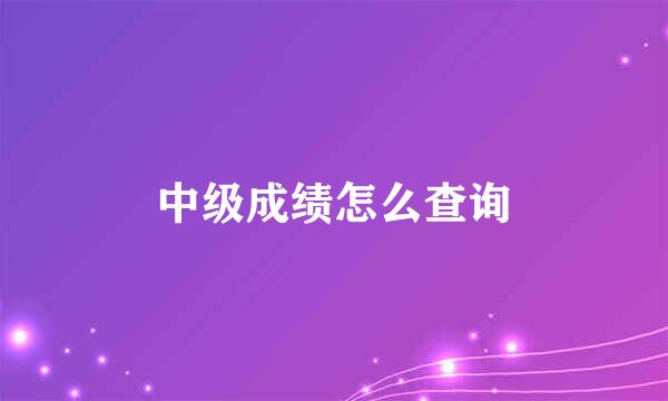 中级成绩怎么查询