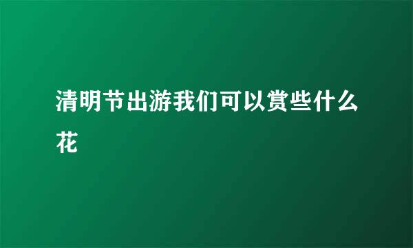 清明节出游我们可以赏些什么花