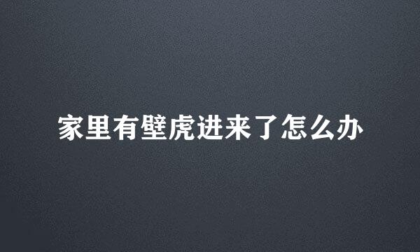 家里有壁虎进来了怎么办