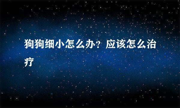 狗狗细小怎么办？应该怎么治疗