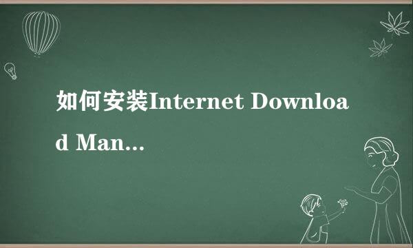 如何安装Internet Download Manager