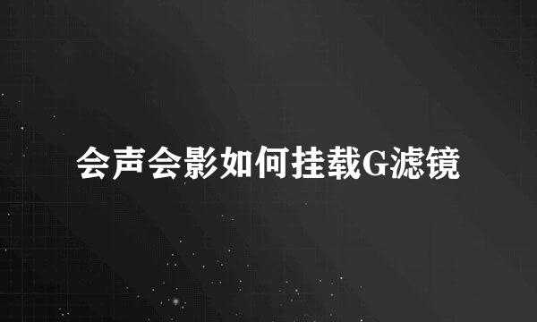 会声会影如何挂载G滤镜