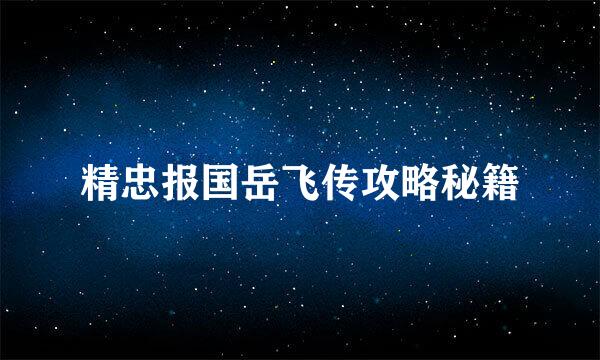 精忠报国岳飞传攻略秘籍