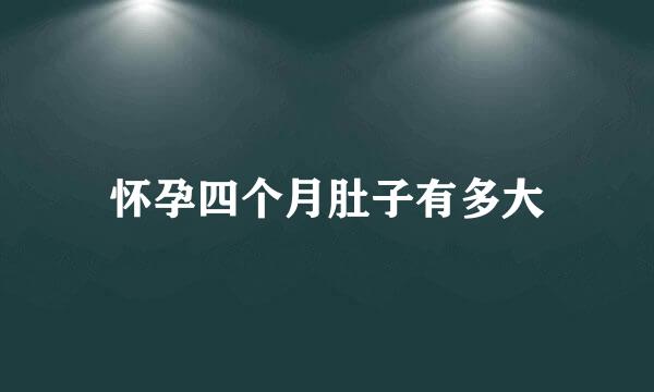 怀孕四个月肚子有多大