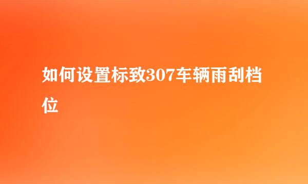 如何设置标致307车辆雨刮档位