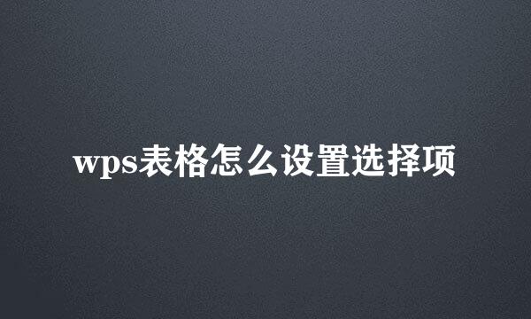 wps表格怎么设置选择项