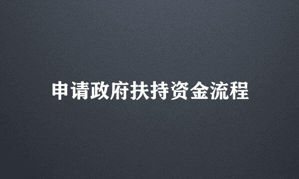 申请政府扶持资金流程