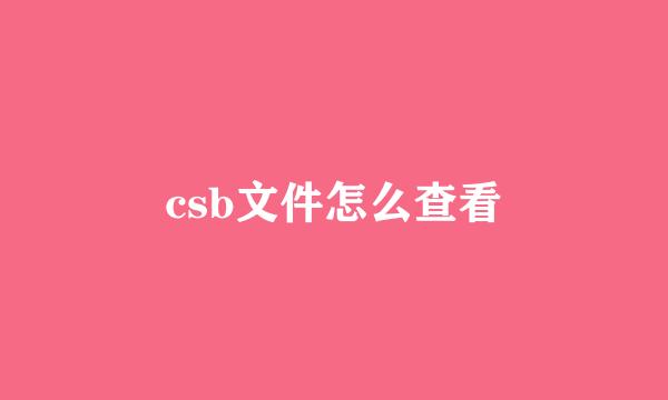 csb文件怎么查看