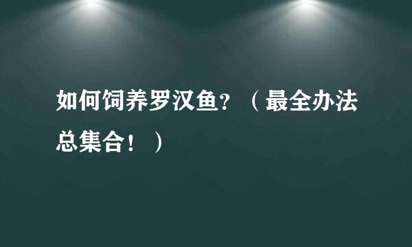 如何饲养罗汉鱼？（最全办法总集合！）