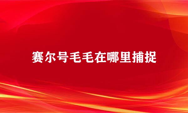 赛尔号毛毛在哪里捕捉