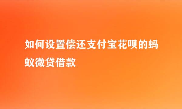 如何设置偿还支付宝花呗的蚂蚁微贷借款