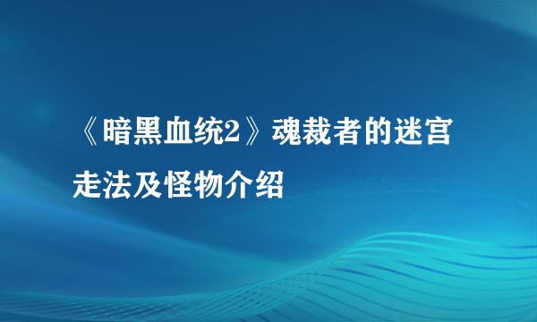 《暗黑血统2》魂裁者的迷宫走法及怪物介绍