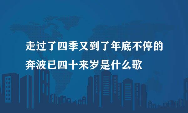 走过了四季又到了年底不停的奔波已四十来岁是什么歌