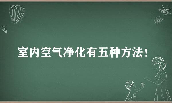 室内空气净化有五种方法！