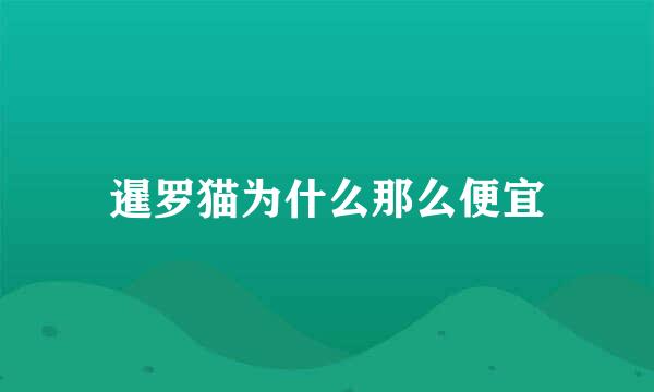 暹罗猫为什么那么便宜