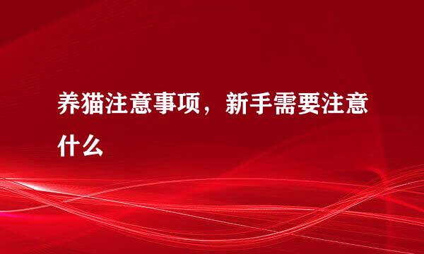 养猫注意事项，新手需要注意什么