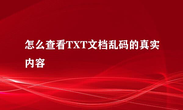 怎么查看TXT文档乱码的真实内容