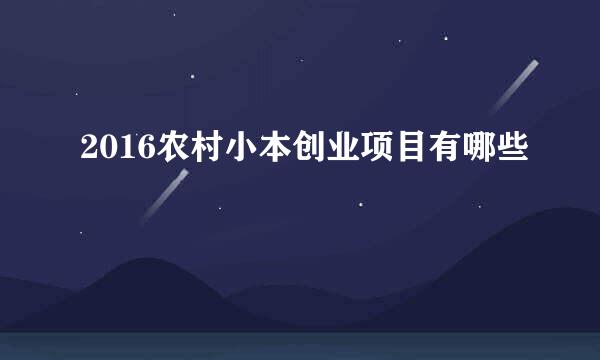 2016农村小本创业项目有哪些