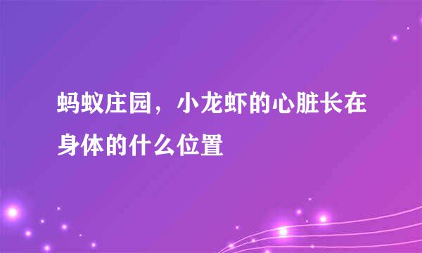 蚂蚁庄园，小龙虾的心脏长在身体的什么位置