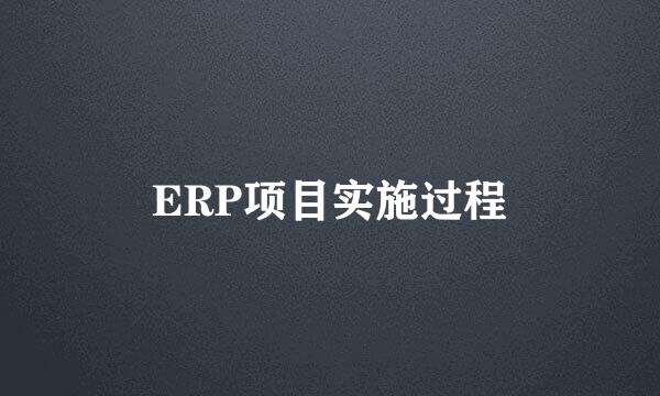 ERP项目实施过程