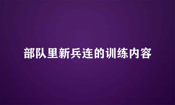 部队里新兵连的训练内容