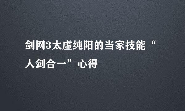 剑网3太虚纯阳的当家技能“人剑合一”心得