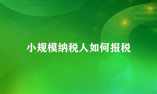 小规模纳税人如何报税